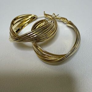 Elegant Gold Hoop Earrings
